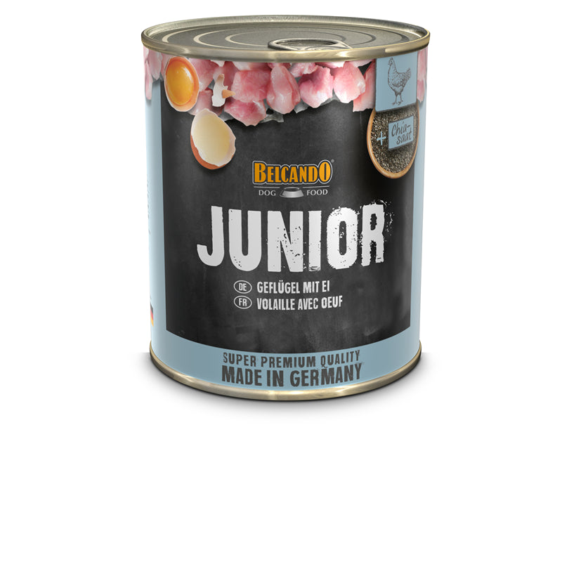 BELCANDO Dose Junior Geflügel mit Ei 800 g