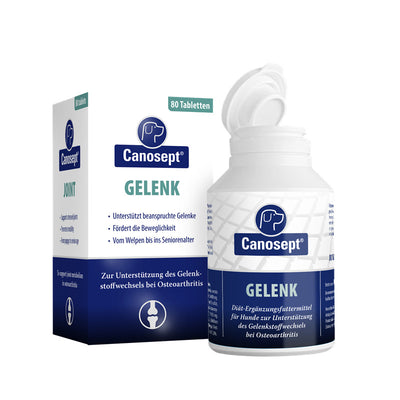 Canosept Gelenktabletten groß 80 Stück 1 Stück
