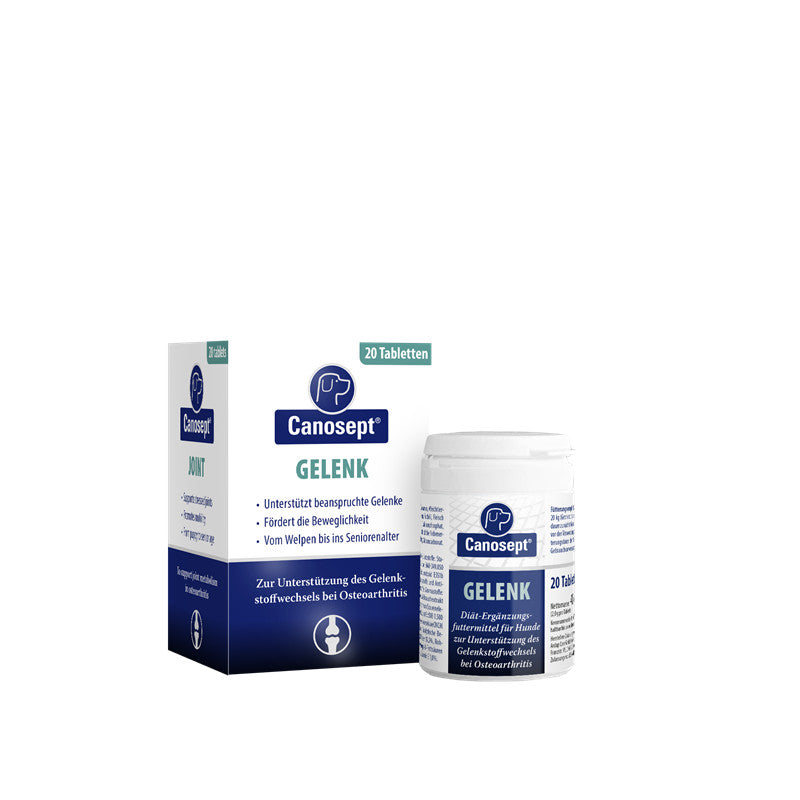Canosept Gelenktabletten klein 20 Stück 1 Stück