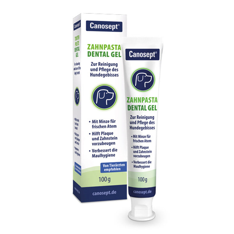 Canosept Zahnpasta Dental Gel 100 ml