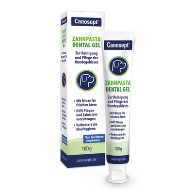 Canosept Zahnpasta Dental Gel 100 ml