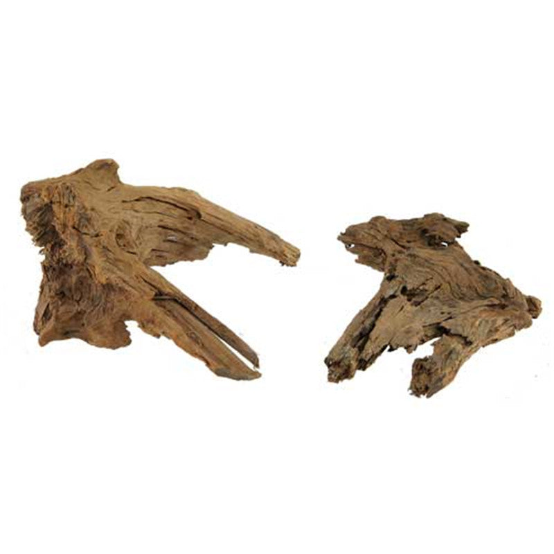 HOBBY Mangrovenholz L, 40-55 cm