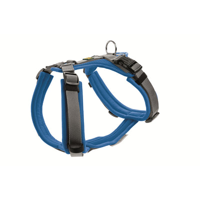 Hunter Geschirr Maldon blau 53-71/M
