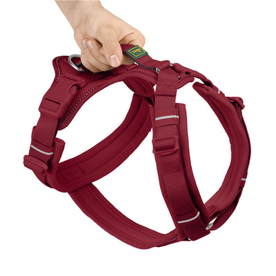 Hunter Geschirr Maldon Up Ltd. Editon Polyester kirschrot 47-69/S-M