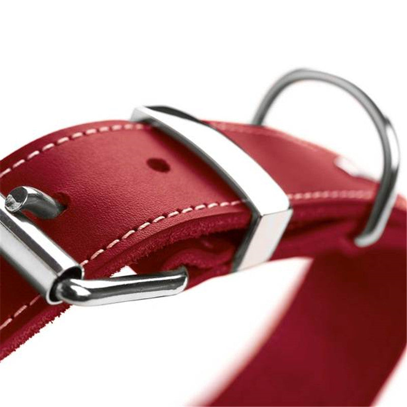 Hunter Halsband Aalborg Special rot 60/M-L