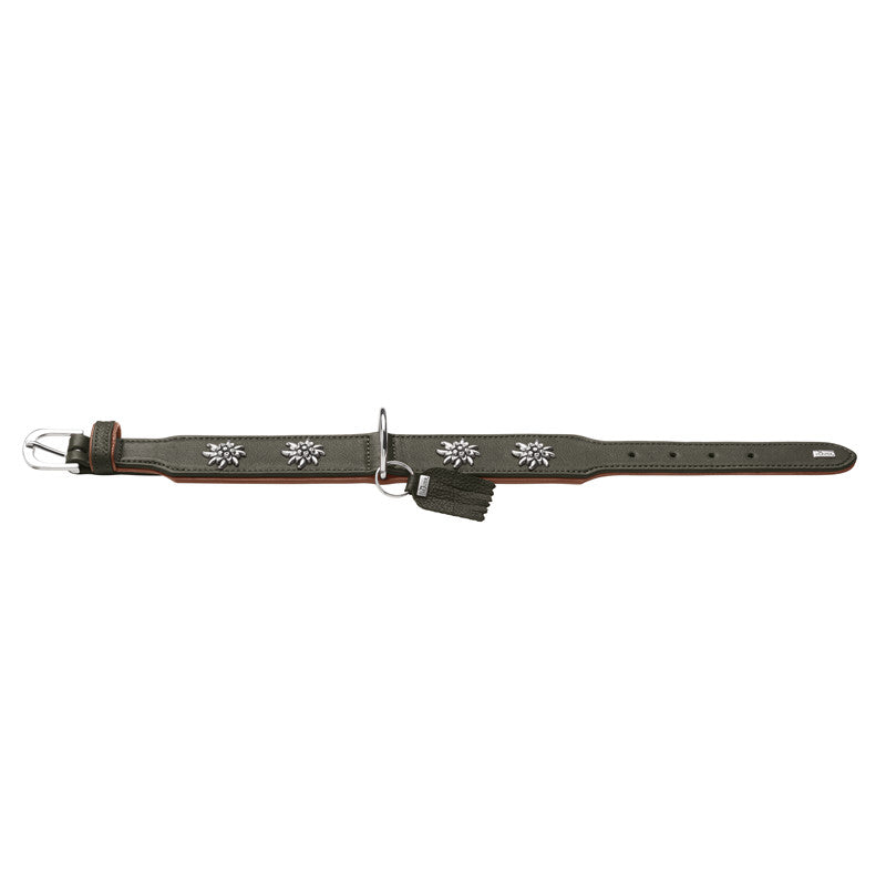 HUNTER Halsband München , Rindsleder grün/cognac 50/S-M