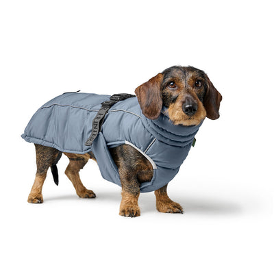 Hunter Hundemantel Paxson Dackel taubenblau 45