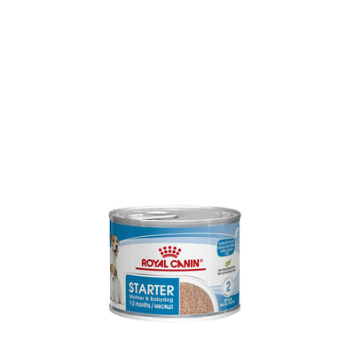 Royal Canin Canine Health Nutrition Starter Mousse Mother and Babydog Dose 195 g