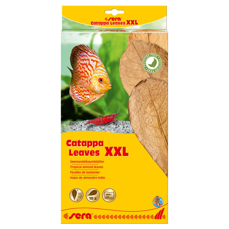 sera Catappa Leaves XXL 10 Stück