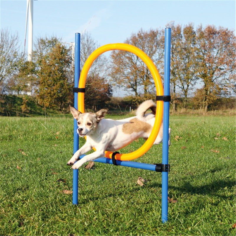 Trixie Activity Agility Ring ø 115 x 3 cm