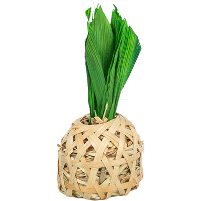 Trixie Ananas, Bambus mit Maisblättern und Heu 6,5 × 14 cm