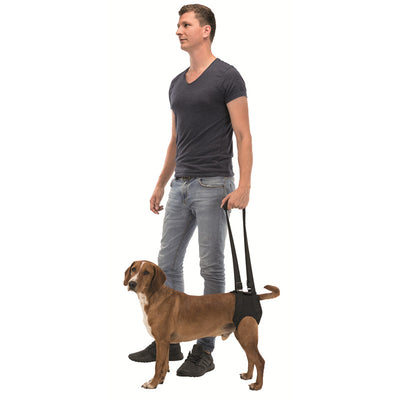 Trixie Hunde Gehhilfe in schwarz 55-65cm