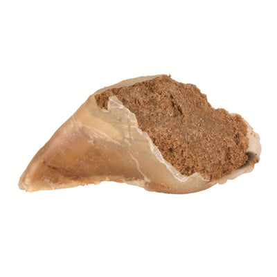 Trixie Kauhuf mit Fleischpastete 115 g
