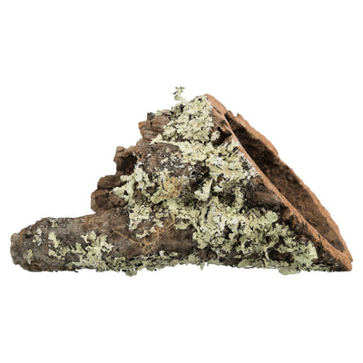 Trixie Korkröhre XS-S ø 6/20 cm