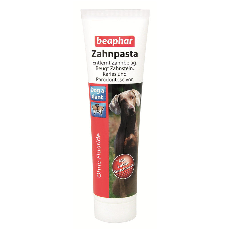 Zahnpasta 100 g
