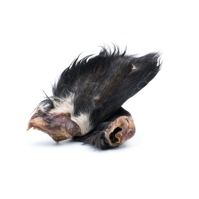 zookauf Snackliebe Rinderohren mit Fell 10 Stück