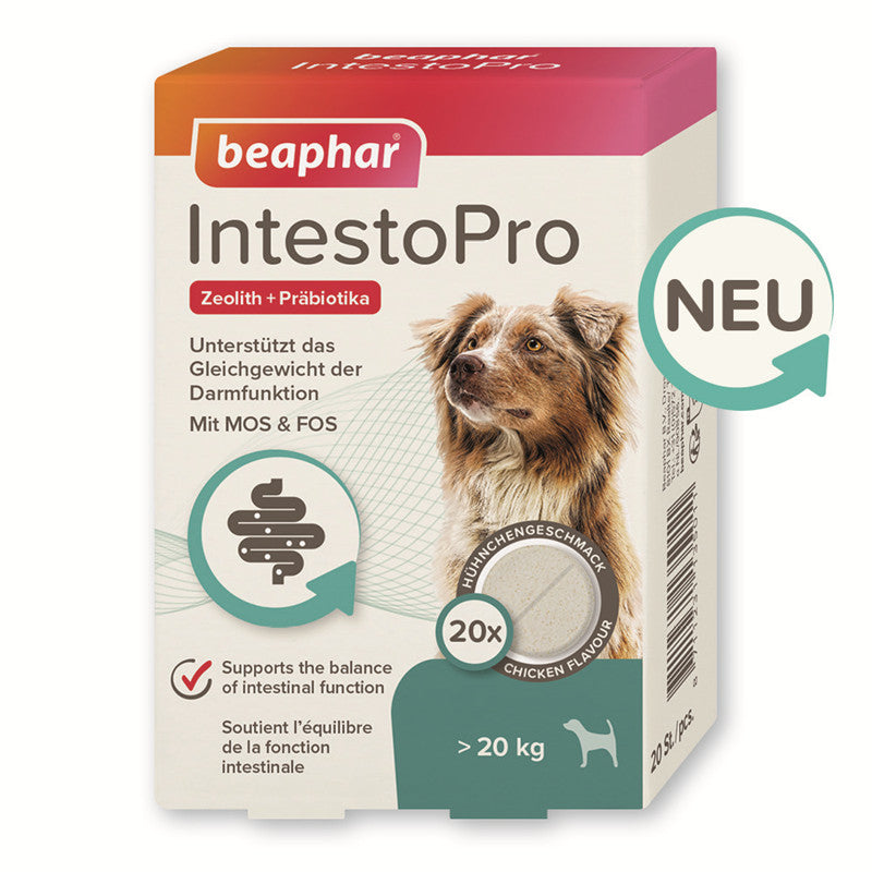 Beaphar IntestoPro Tabs für große Hunde 20 Sück 1 Stück