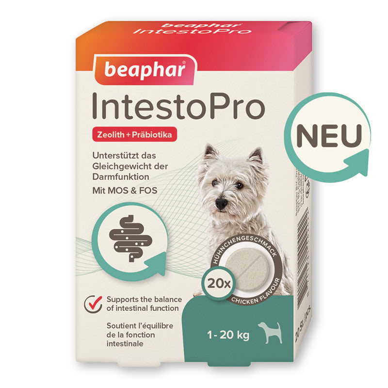 Beaphar IntestoPro Tabs für kleine Hunde 20 Stück 1 Stück