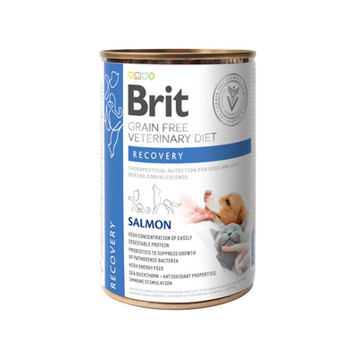 Brit Grain-Free Veterinary Diets - Dog + Cat - Cans - Recovery 400 g