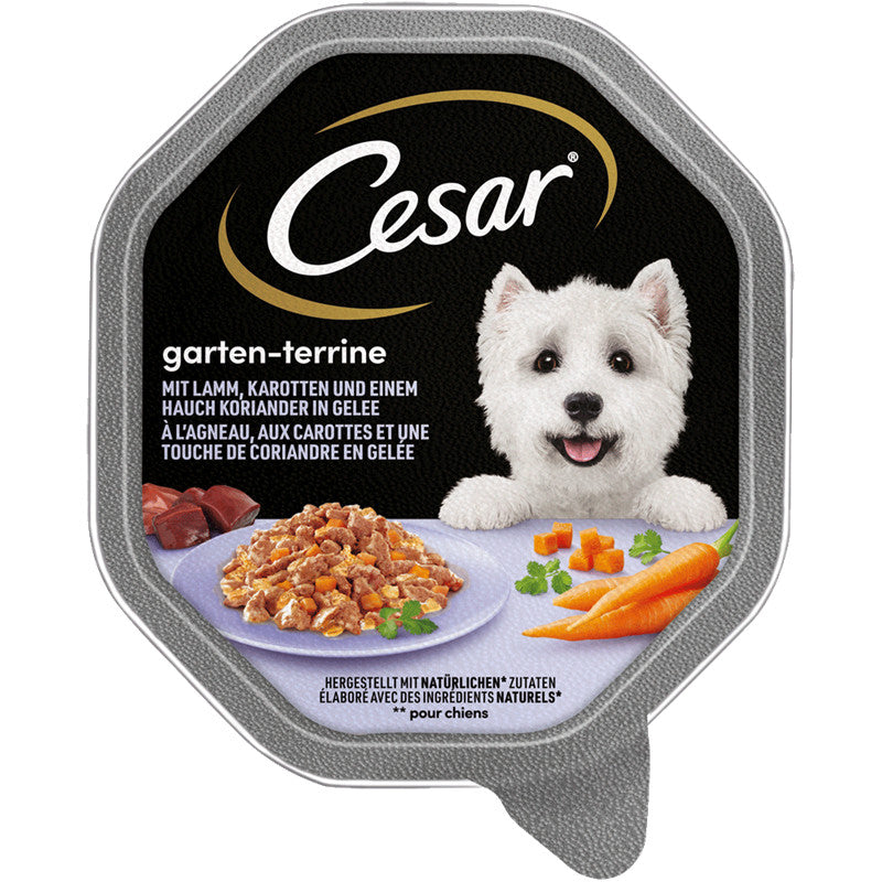 Cesar Schale Schale Garten-Terrine mit Lamm, Karotten und Koriander in Gelee 150 g