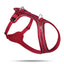 curli Belka Comfort Geschirr rot XS