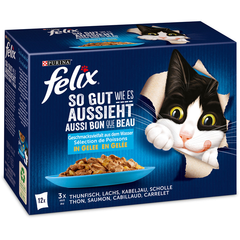 FELIX So gut wie es aussieht Geschmacksvielfalt aus dem Wasser 12 x 85 g