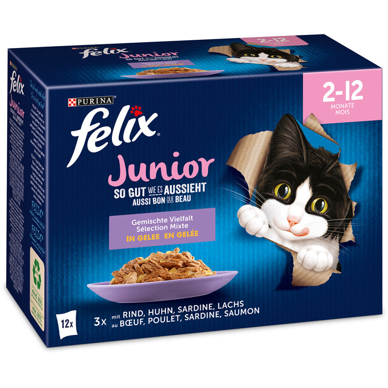 FELIX So gut wie es aussieht Junior Gemischte Vielfalt 12 x 85 g