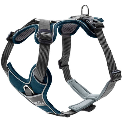 Hunter Divo Geschirr petrol/grau XS