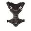Hunter Geschirr Divo Up Polyester schwarz S / 45 - 56 cm