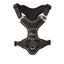 Hunter Geschirr Divo Up Polyester schwarz M / 56 - 73 cm