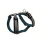 Hunter Geschirr Maldon Up petrol/grau 37-53/XS-S
