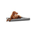 Hunter Hundematte Vermont grau 100 x 80 cm