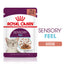 Royal Canin Feline Health Nutrition Sensory Feel Gravy FB 85 g