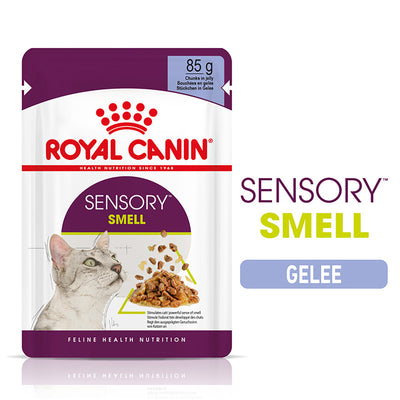 Royal Canin Feline Health Nutrition Sensory Smell Jelly Frischebeutel 85 g
