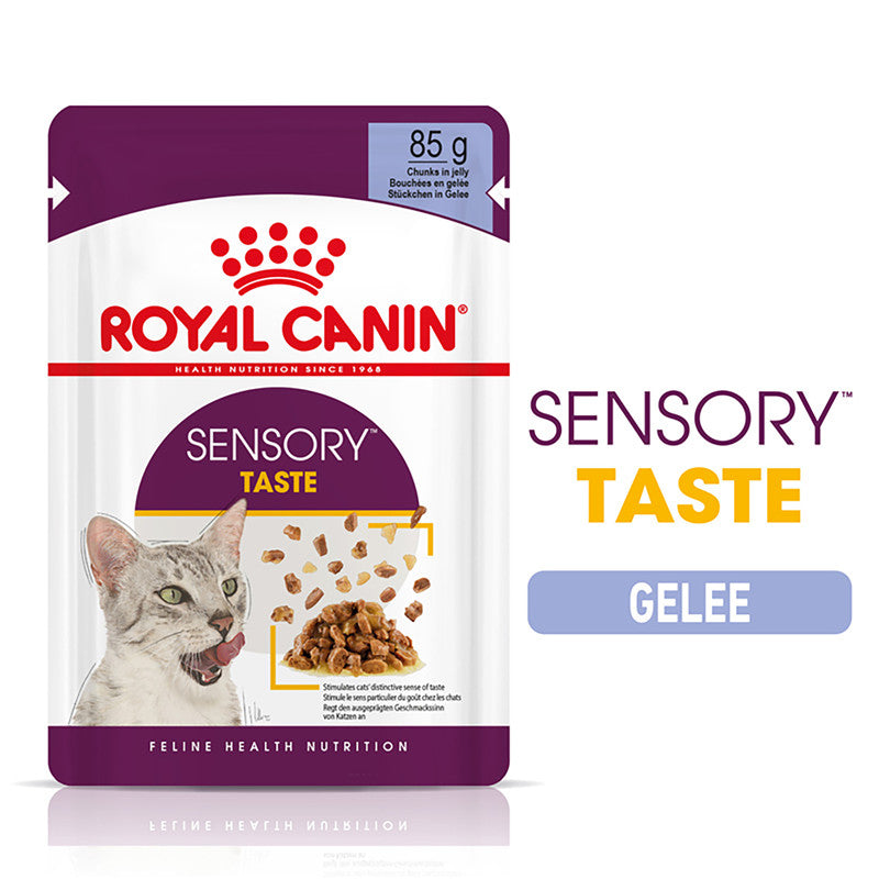 Royal Canin Feline Health Nutrition Sensory Taste Jelly  Frischebeutel 85 g