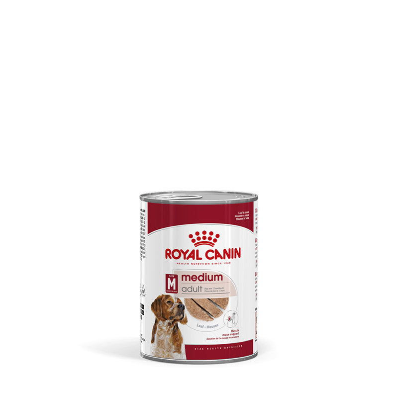 ROYAL CANIN MEDIUM Adult Feuchtnahrung als Mousse >12. Lebensmonat