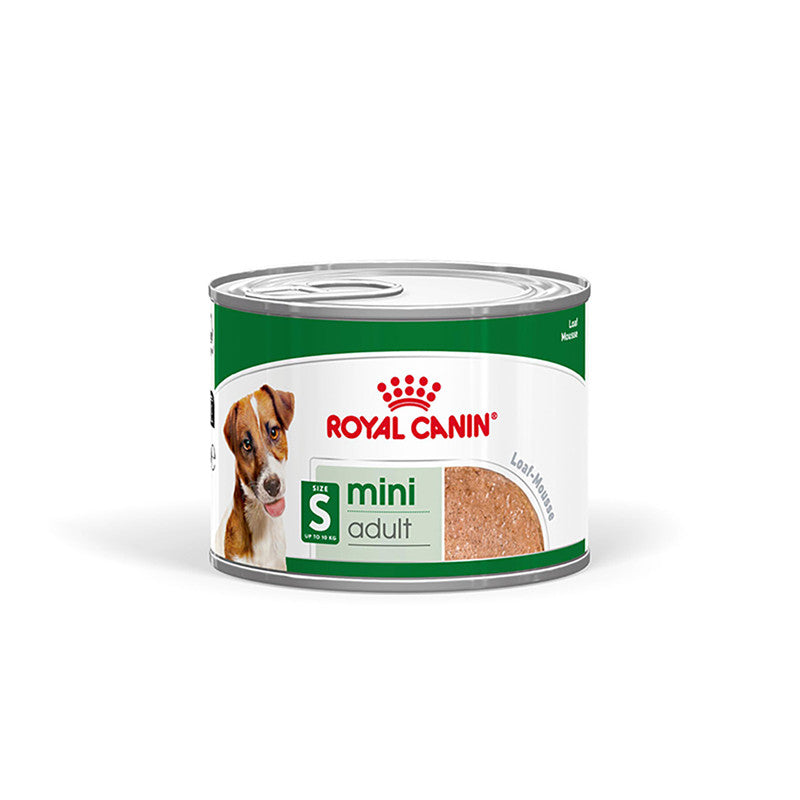 ROYAL CANIN MINI Adult Feuchtnahrung als Mousse (>10. Lebensmonat) 1 Stück