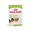 Royal Canin Size Health Nutrition X-Small Häppchen in Soße (>10. Lebensmonat) >10. Lebensmonat