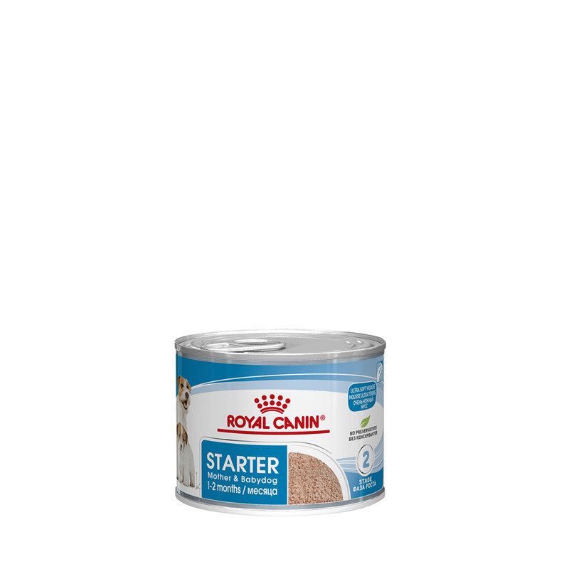 Royal Canin Canine Health Nutrition Starter Mousse Mother and Babydog Dose 195 g