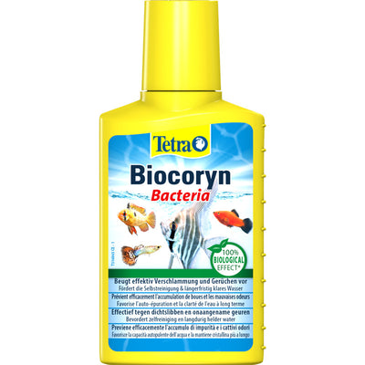 Tetra Biocoryn Bacteria 100 ml