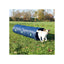 Trixie Activity Agility Tunnel  ø 40 cm / 2 m