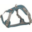 Trixie Premium Active Geschirr, petrol XS-S 30-40cm/15mm
