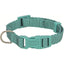 Trixie Premium Halsband, aqua L-XL: 40-65 cm/25 mm