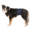 Trixie Rüdenbinde Mesh-Material dunkelblau S 29-37 cm