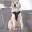 Trixie Sicherheitsgeschirr Dog Comfort schwarz / 20 mm M 50-65 cm