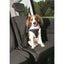Trixie Sicherheitsgeschirr Dog Comfort schwarz / 20 mm S-M 40-55 cm