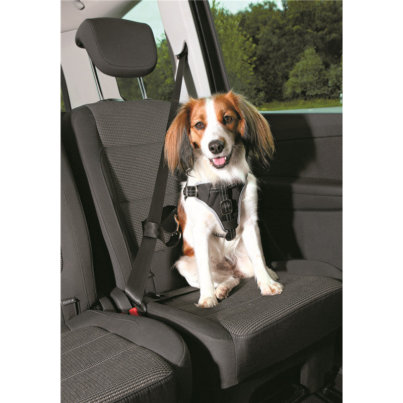 Trixie Sicherheitsgeschirr Dog Comfort schwarz / 20 mm S-M 40-55 cm