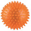 Trixie Thermoplastisches Gummi (TPR) Blink-Igelball  ø 12 cm
